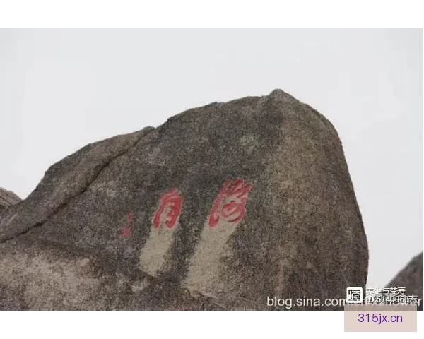 剑网2天涯海角：一段跨越山海的江湖奇遇